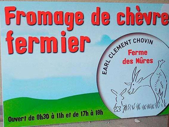 GAEC CHOVIN-CLEMENT Fromages de chèvre fermiers